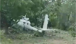 白鹿的爆料新闻,娱乐圈内幕大揭秘